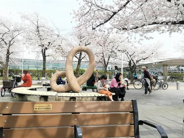 桜の名所の憩いのベンチ