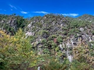 日帰り社員旅行に参加して